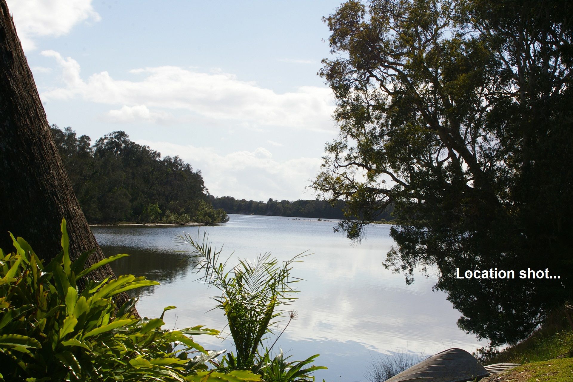 Hyland Park Real Estate: Dream Home Site