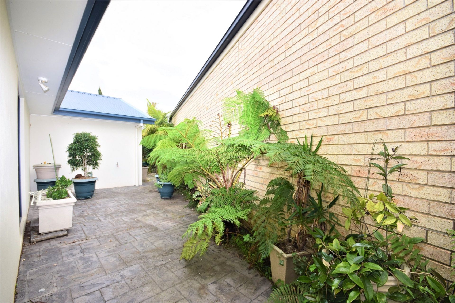 Nambucca Heads Real Estate:  Modern, Single Level Home