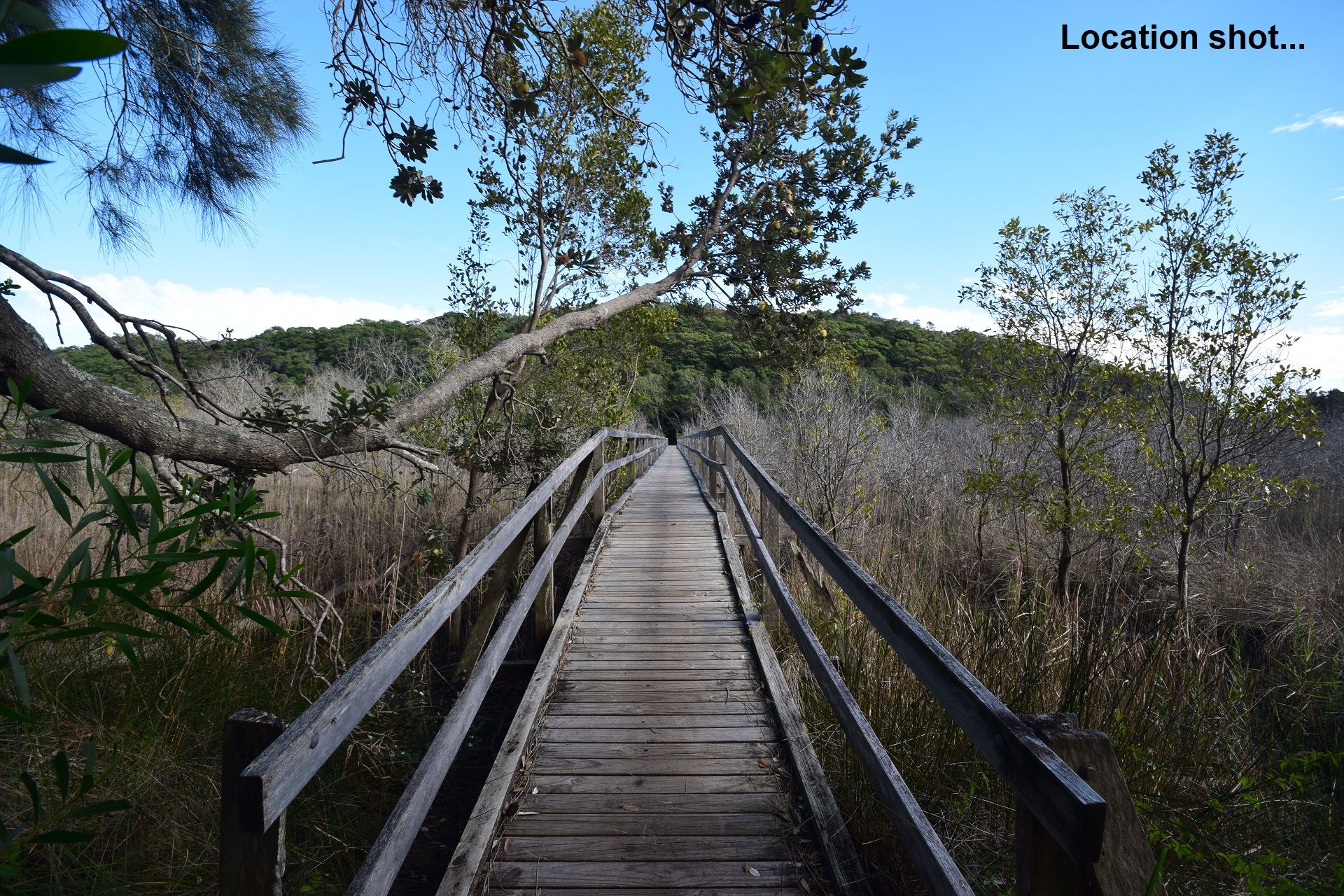 Hyland Park Real Estate: Dream Home Site